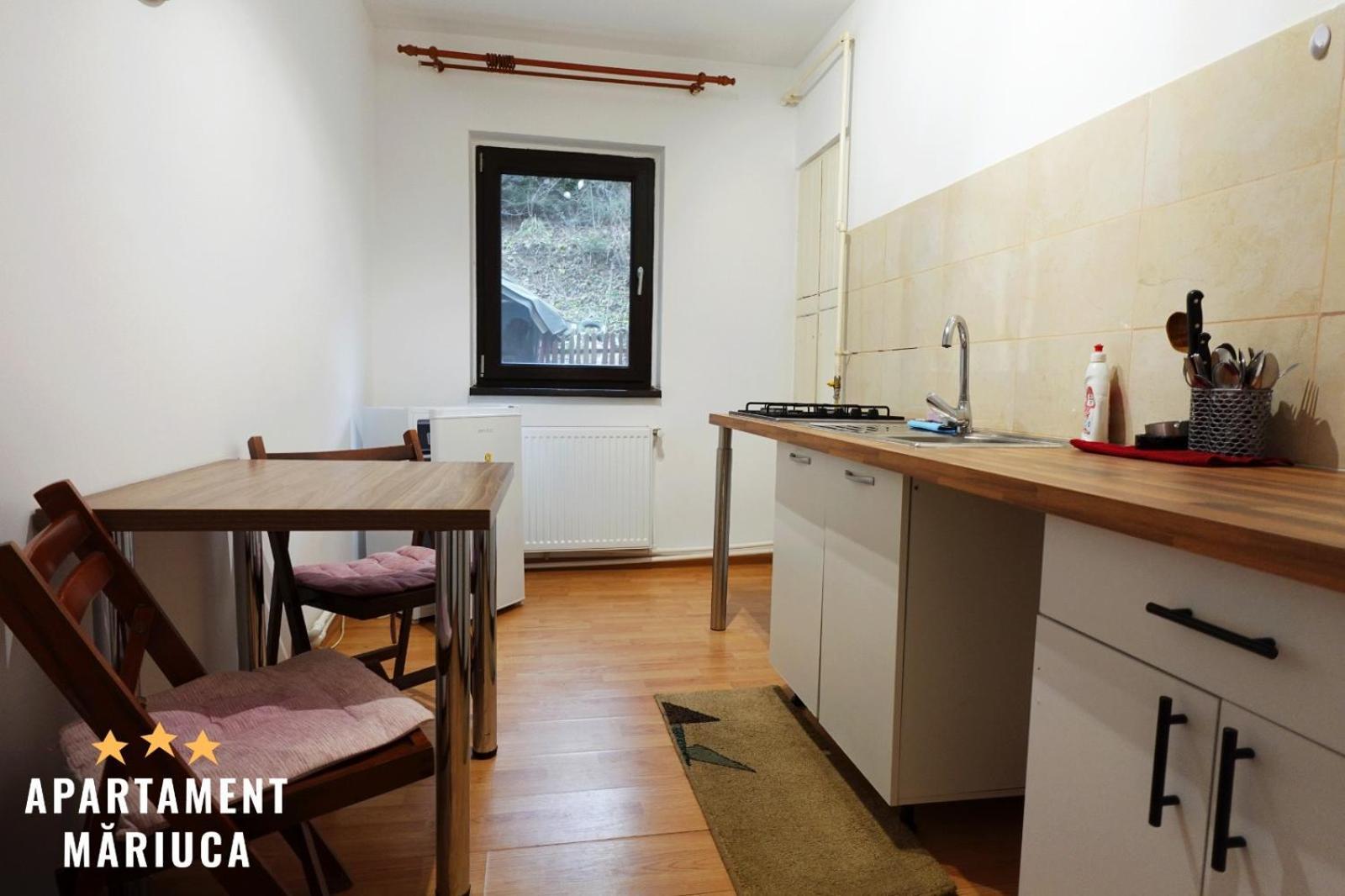 Mariuca Apartament Buşteni Dış mekan fotoğraf